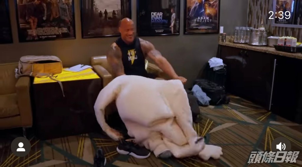 狄維莊遜咁大隻，呢件嘢其實唔易着。